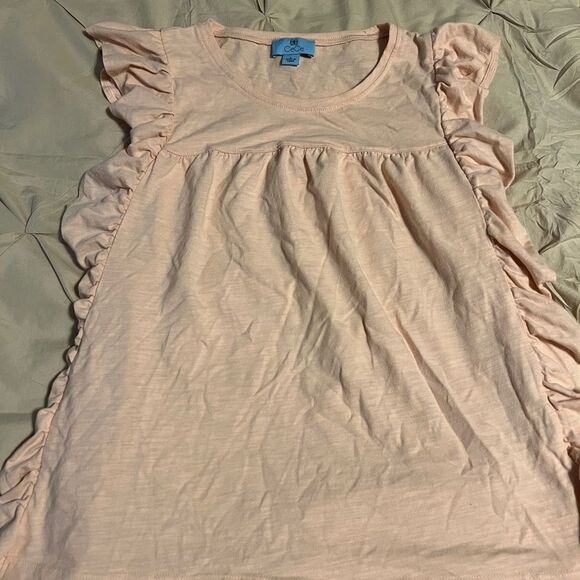 CeCe Tops - Ruffled Sleeve Blush Pink Top
